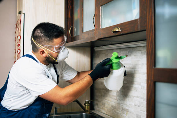 Best Indoor Pest Control  in St Johns, AZ